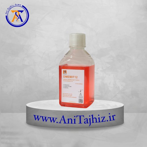 DMEM/F12 (Glutamax)