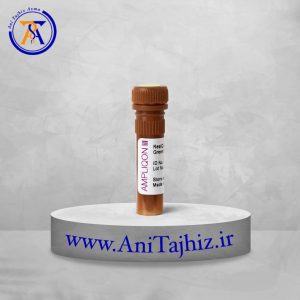 مستر میکس ریل تایم