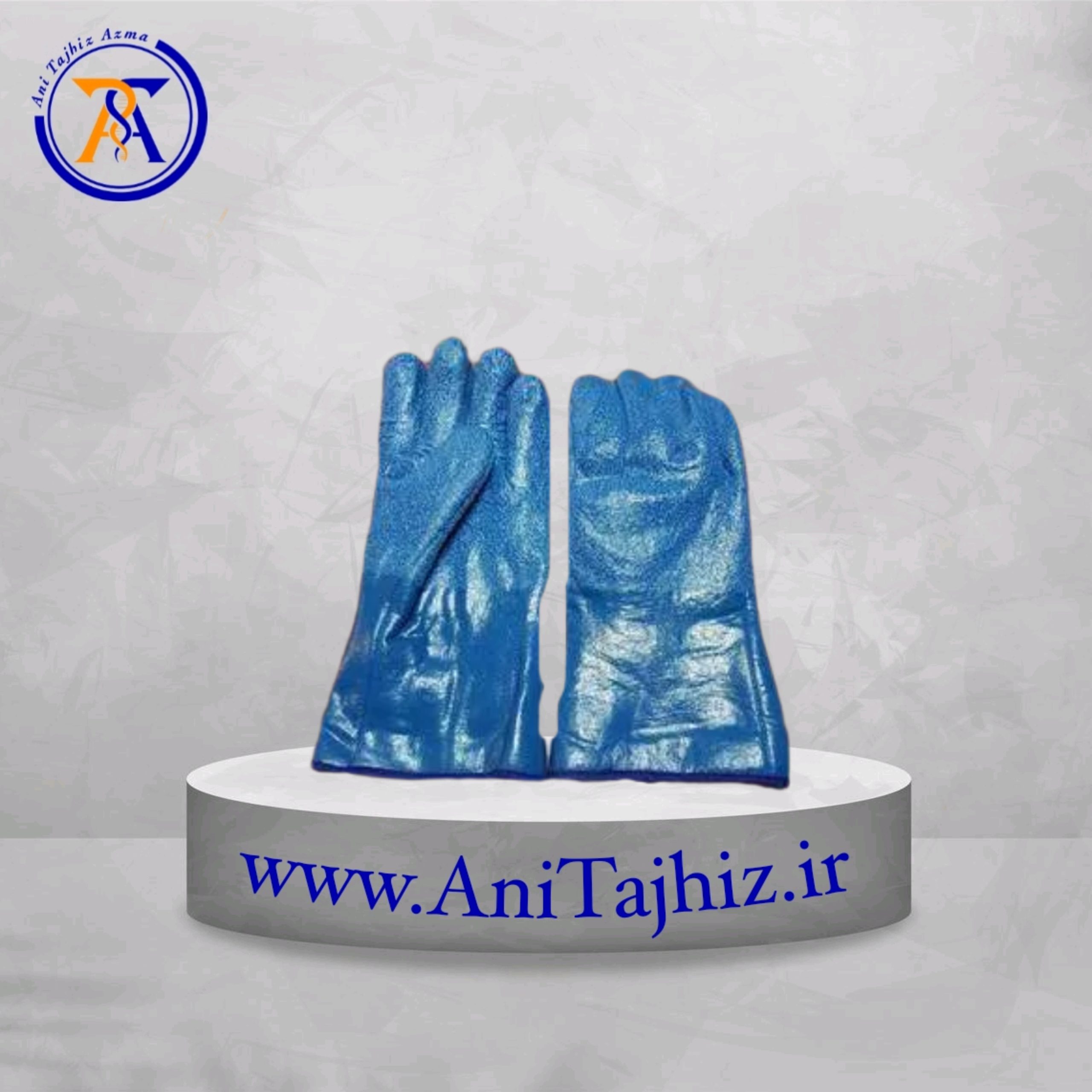 Ani Tajhiz (133)