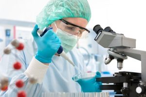 lab